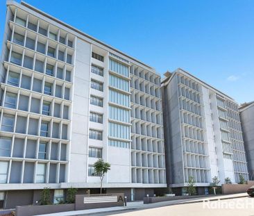 Immaculate 1 Bed + Study! - Photo 5