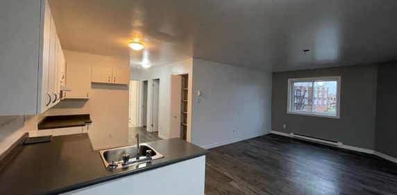 Beau 4 1/2 libre maintenant à Ste-Catherine (rive-sud de Mtl) - Photo 2