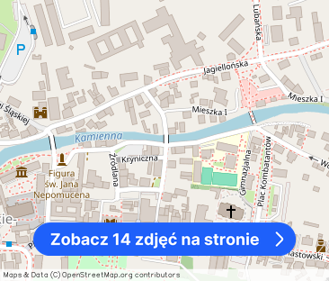 Stylowy Apartament w centrum Uzdrowiska Cieplice - Zdjęcie 1