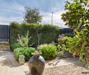 24 Albion Street, Googong NSW 2620 - House For Rent | Domain - Photo 2