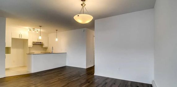 (Aylmer) Magnifique Logement De Style Condo à Louer - Photo 2