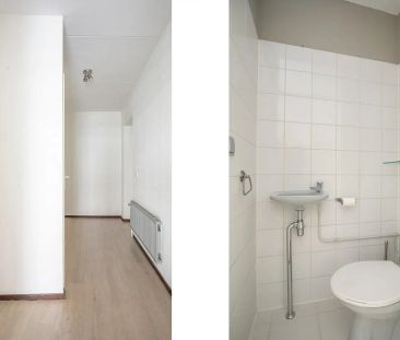 Appartement Park Seminarie 54, Driebergen-Rijsenburg - À Louer - Foto 6