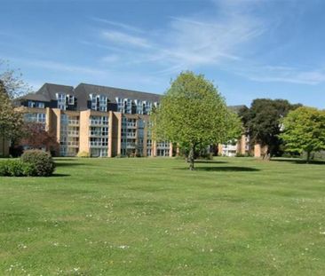 1 bedroom retirement property to rent - Photo 5