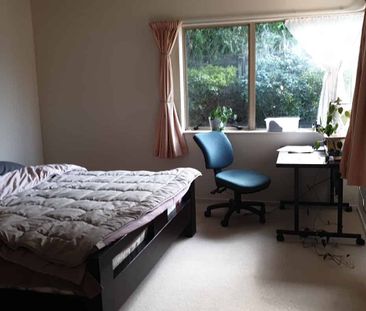 Paraparaumu - 3 bedrooms - Photo 3