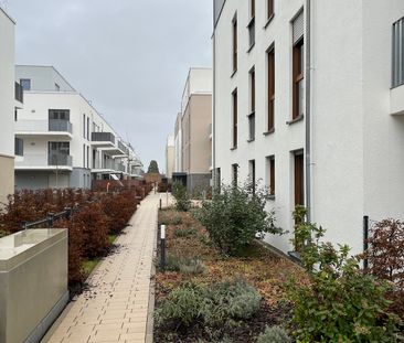 Elegante EG-Neubauwohnung mit 2 Zimmern und idyllischem Gartenanteil - Foto 3