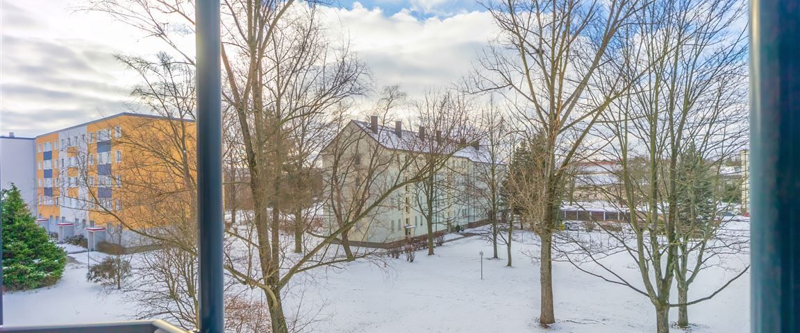 Gemütliche 3-Raum-Wohnung in der Nähe des Stadtparks - Foto 1