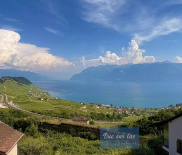 Superb renovated duplex with stunning views in Grandvaux - Foto 5