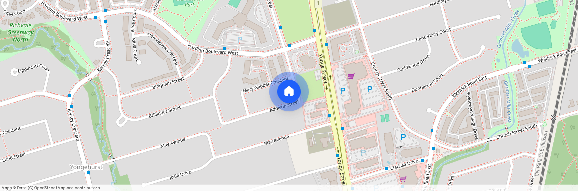 44 Addison Street Unit# Basement, Richmond Hill