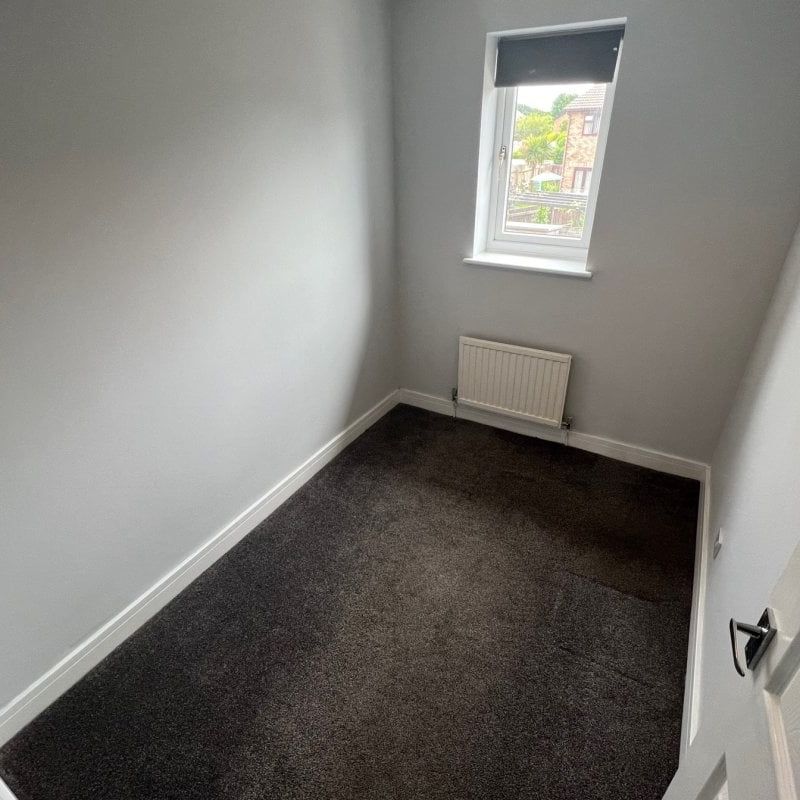 Orchid Close - Photo 1