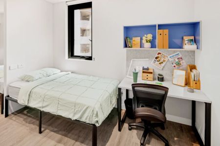 Twin Studio Bronze - Photo 4