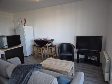 Location Appartement 1 pièces 28 m2 à Vétraz-Monthoux - Photo 4