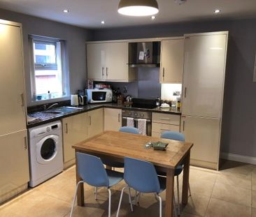 95c Eglantine Avenue, Belfast, BT9 6EX - Photo 4