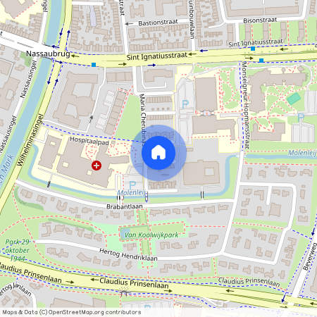 Brabantpark, 4817 KZ, Maria Cherubinastraat, Breda