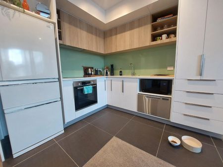 1 Bedroom mordern apartment - Handbag dog or Cat is welcome! - Photo 5