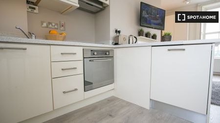 Studio flat to rent in Downtown Dublin - Photo 4