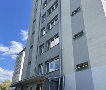 3 pokoje Wynajem ODI/2514 - Photo 2