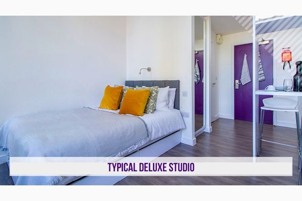 Deluxe Studio - Photo 1