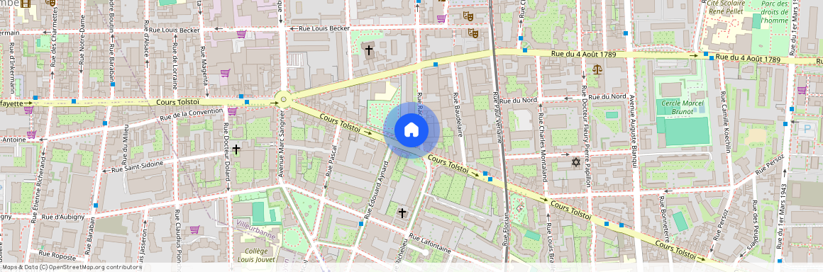 11 Rue Professeur Florence, 69003, Lyon