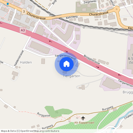 Tiergartenstrasse 12, 8852 Altendorf