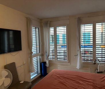Pleasant furnished studio in the Plainpalais/HUG Hospitals area - Foto 2