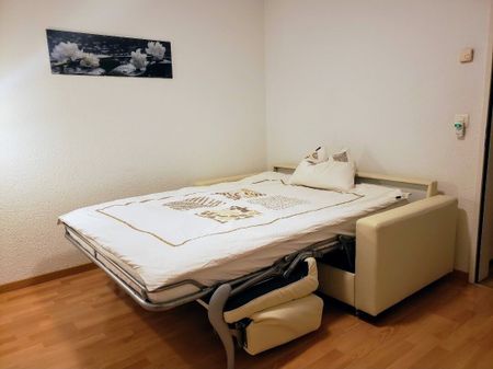 31/2 ROOM APARTMENT IN BAAR (ZG), FURNISHED, TEMPORARY - Photo 4