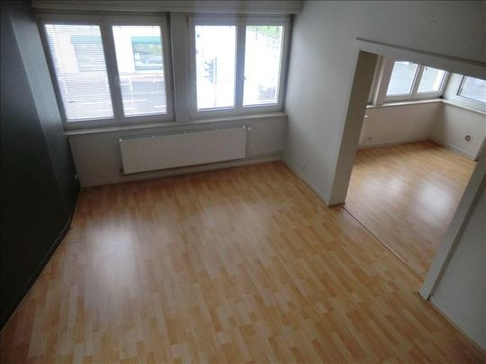 Duplex 2 pièces à Sarrebourg - Photo 1