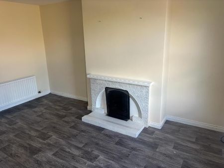 28 Hazelbank Road, Lawrencetown, Banbridge, BT63 6DS - Photo 3