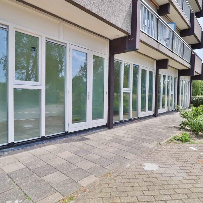 Appartement te huur: Victor van Vrieslandstraat 6 2025 LS Haarlem - Foto 1