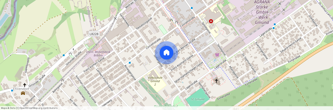 Stiftergasse 11, 3950, Gmünd