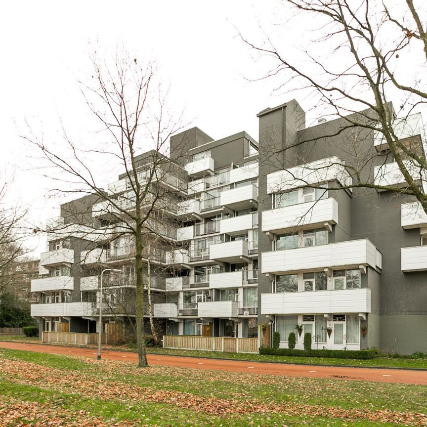 Rijtse Akkers, 60 - Photo 2