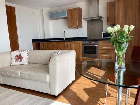 Meridian Bay, Trawler Road, Marina, Swansea, SA1 1PG - Photo 4