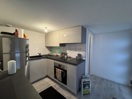 Appartement 1 pièce à Village-Neuf - Photo 5