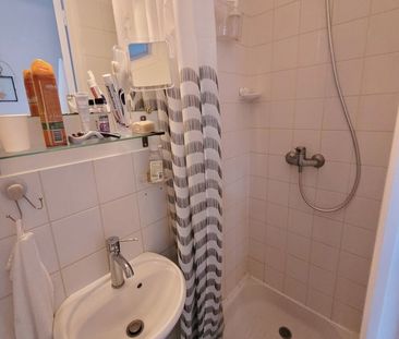 Location Appartement 1 pièce 22m² - Photo 3