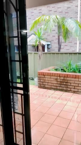 3 bed 2 bath+study - Photo 3