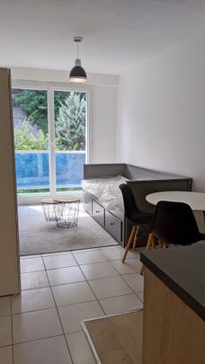 Location Appartement 1 pièce 17m² NICE 06000 - Photo 1