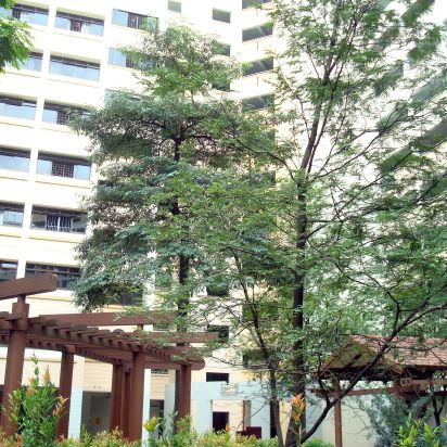 Blk 702 Woodlands Drive 40 (Woodlands), HDB 4 Rooms - For Rent - Photo 1