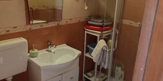 Garsoniera de inchiriat in zona Vitan - Fotografie 3