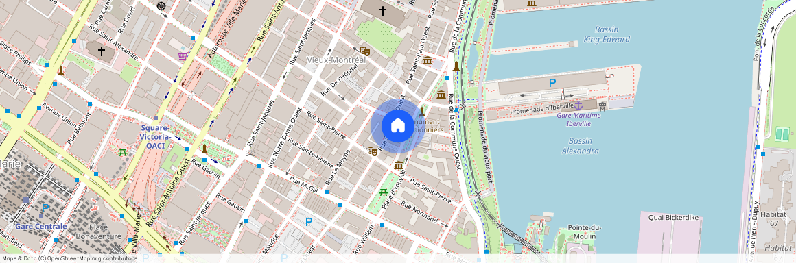 285 Place D'Youville, app. 21, Montréal (Ville-Marie), H2Y2A4