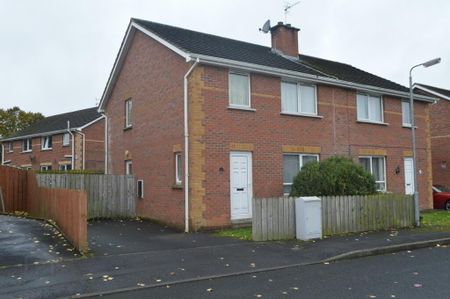 Lakeview Court, Craigavon, BT65 4AN - Photo 2