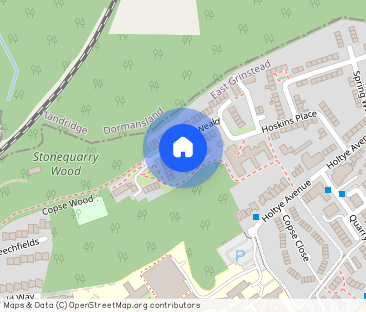 The Weald, East Grinstead - Photo 1