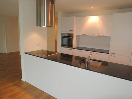 Modern living with a sunny garden seating area! - Photo 3