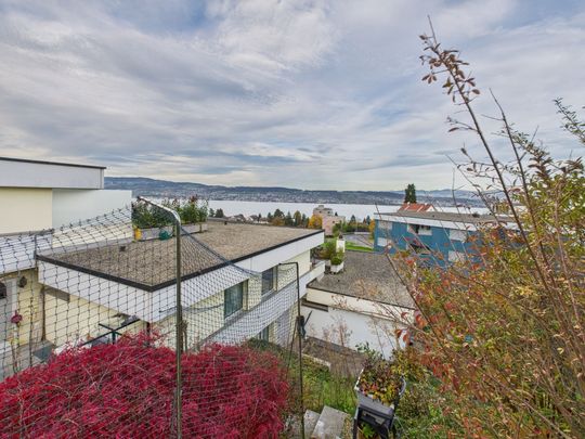 Beautiful 3.5-room terrace apartment with view of Lake Zurich in Wädenswil - Photo 1