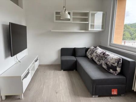 Pronájem bytu 1+1 35 m - Fotografie 2