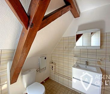 Location Appartement 1 pièce 31m² SELESTAT 67600 - Photo 6