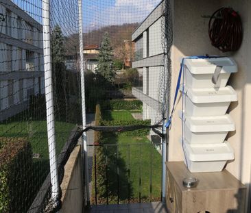 3.5 Zimmer, 90 m² - Photo 5