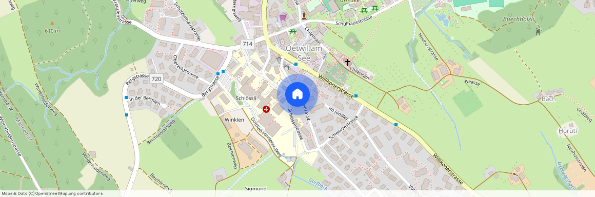 8618, Oetwil am See, Langholzstrasse, 10