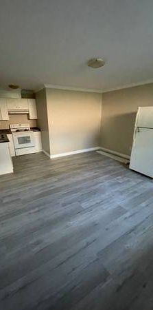 one bedroom basement $1400 - Photo 1