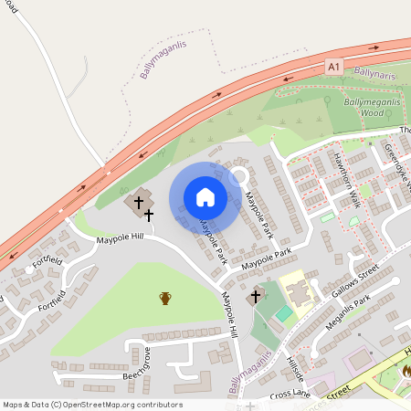15 Maypole Park, BT25 1SH, Dromore
