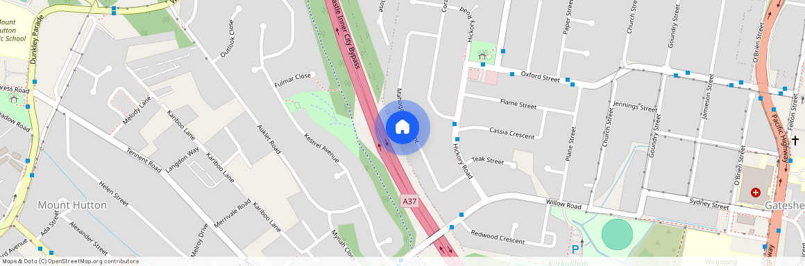 51 Mahogany Crescent, Gateshead NSW 2290