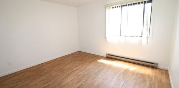 A Valleyfield – Grand, beau, propre , tranquille 4-1/2 , LIBRE - Photo 2